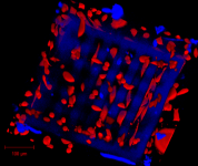 UpNano_News_Osteoblasts